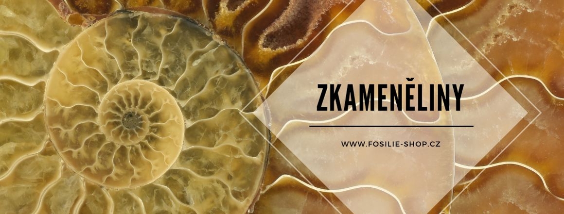 Zkameněliny prodej