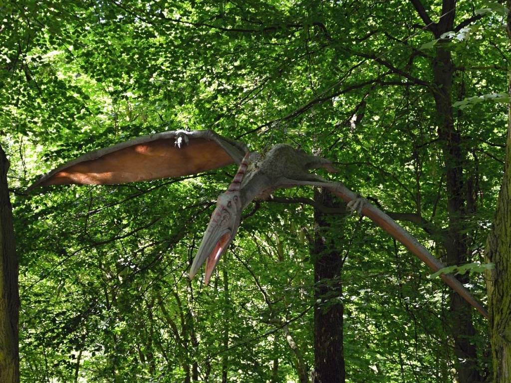 Pteranodon pterosaur - Vyškov dinopark