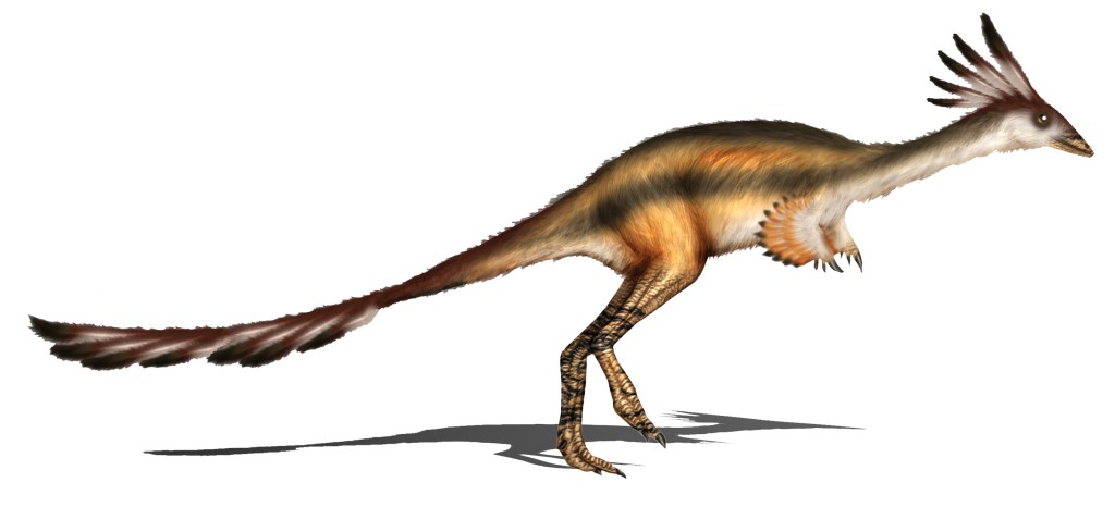 Alvarezsaurus_calvoi