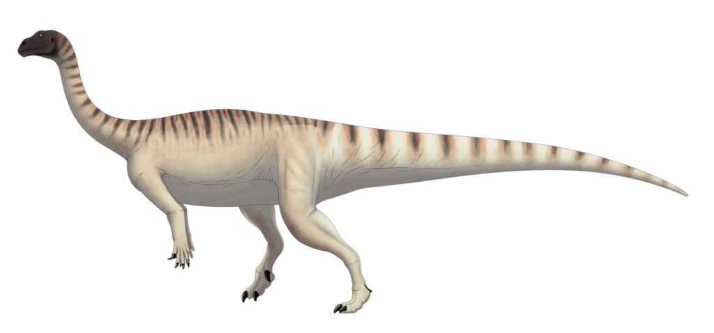 Mussaurus_patagonicus