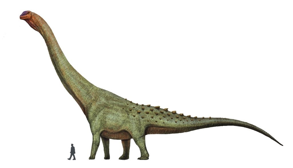 Patagotitan_restoration