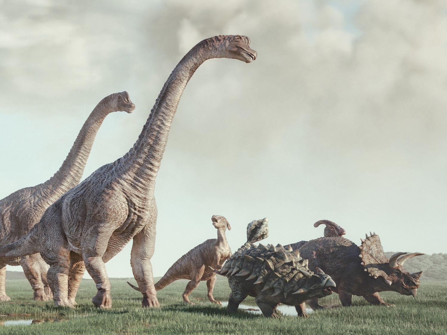 bylozravi-dinosauri-ruzne-druhy