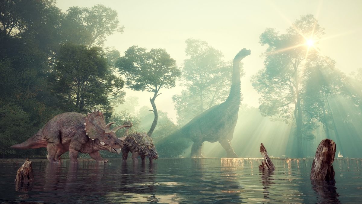Trojice dinosaurů brachiosaurus, ankylosaurus a triceratops u vodní hladiny jezera.