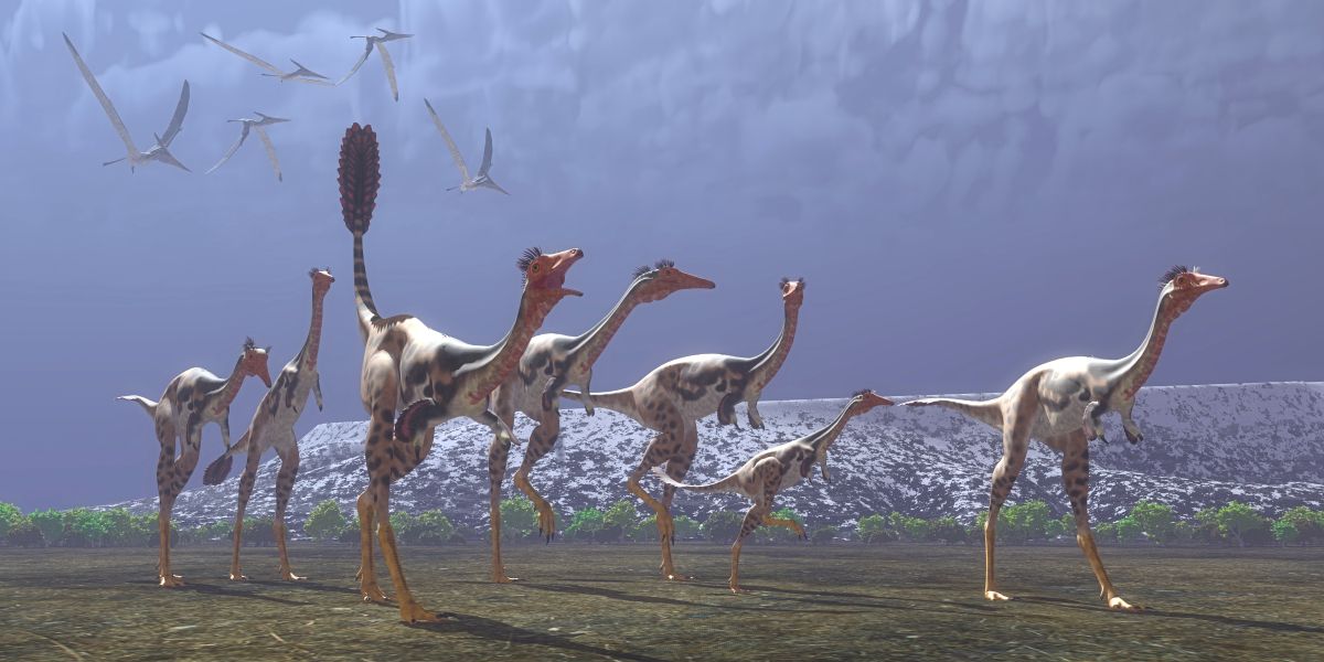 Dinosauři rodu Mononykus kráčející po zemi, nad nimi letí hejno pteranodonů.