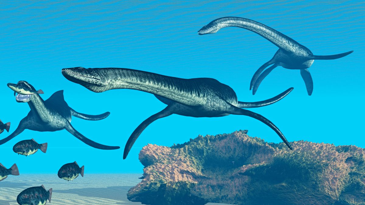 plesiosauri-pod-hladinou