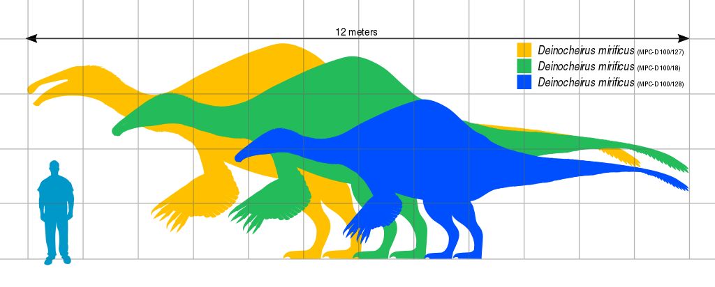 Deinocheirus rozměry druhů v porovnání s člověkem