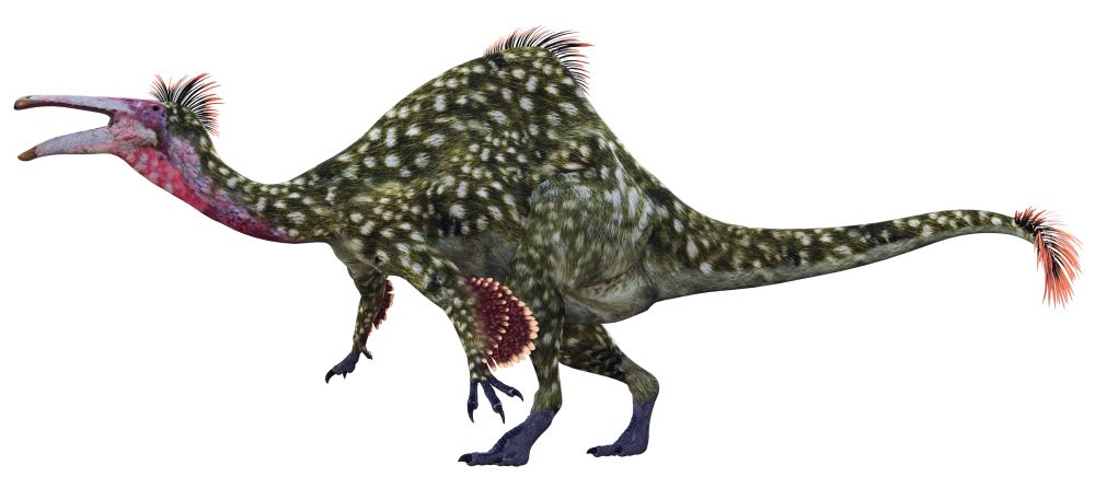 Deinocheirus pohled z boku