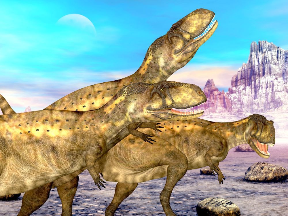 Několik jedinců dinosarů druhu abelisaurus.