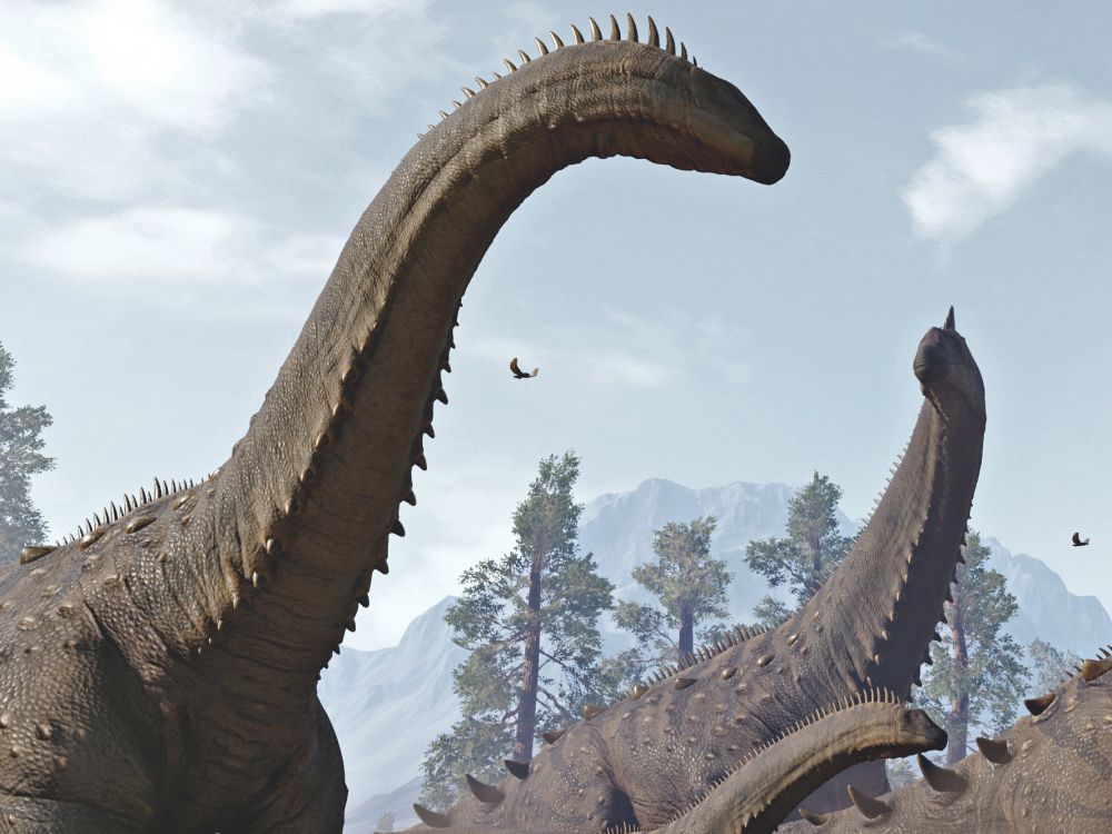 alamosaurus-dinosauri-detail-hlavy
