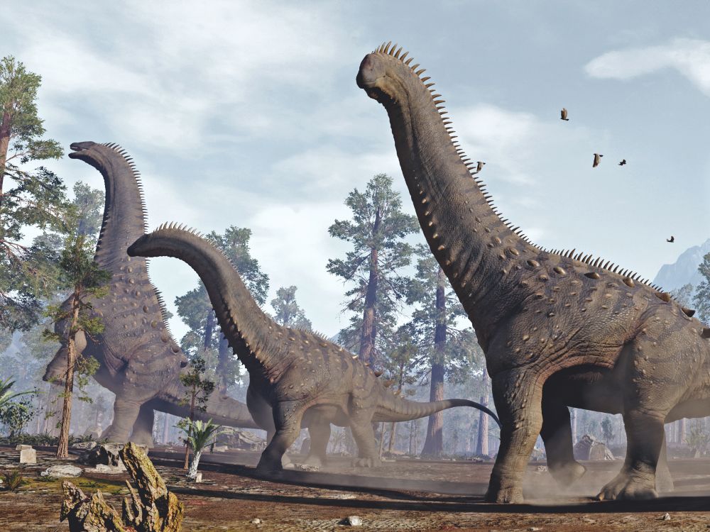 alamosaurus-dinosauri