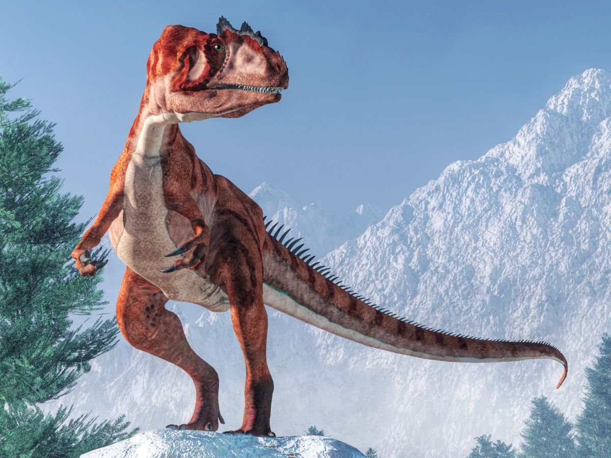 Velký Allosaurus na skalním výběžku sleduje okolí a pátrá po kořisti.