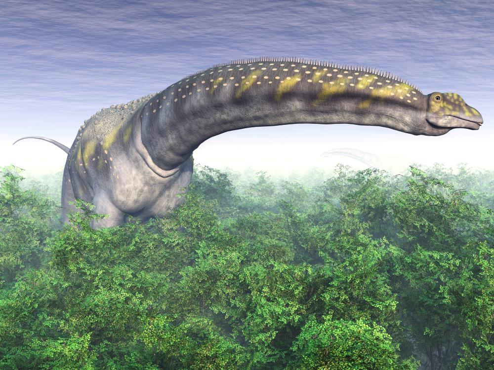 argentinosaurus-dinosaur-atlas-dinosauru