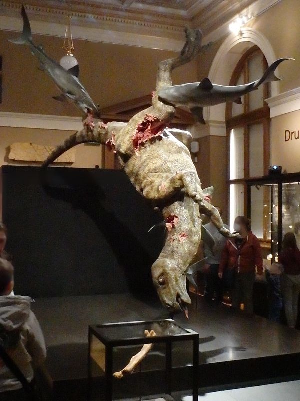 burianosaurus-augustai-muzeum-praha
