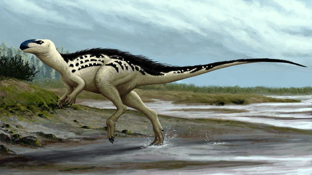 cesky-dinosaurus