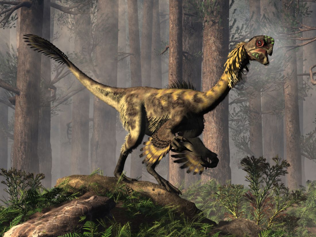 Citipati, oviraptoridní teropod, stojící na kameni uprostřed hustého pravěkého pralesa.