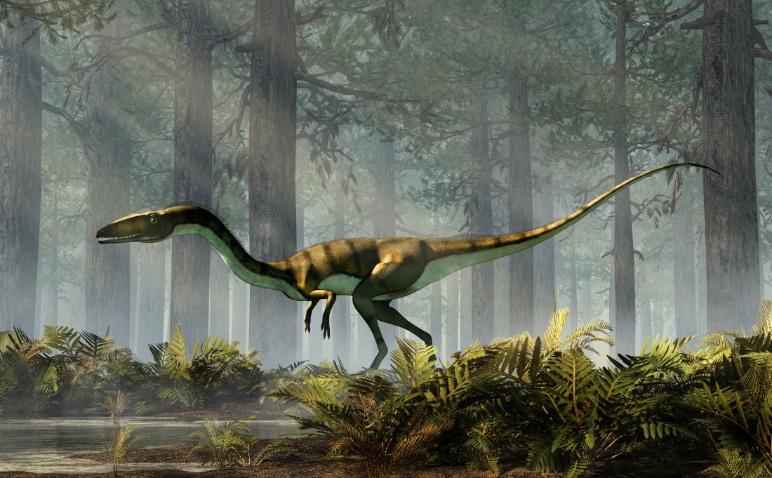 Coelophysis štíhlý dravý dinosaurus v bočním pohledu stojící mezi stromy hustého pravěkého lesa.