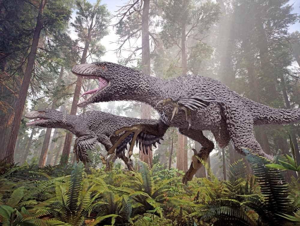 dakotaraptor-dinosaurus