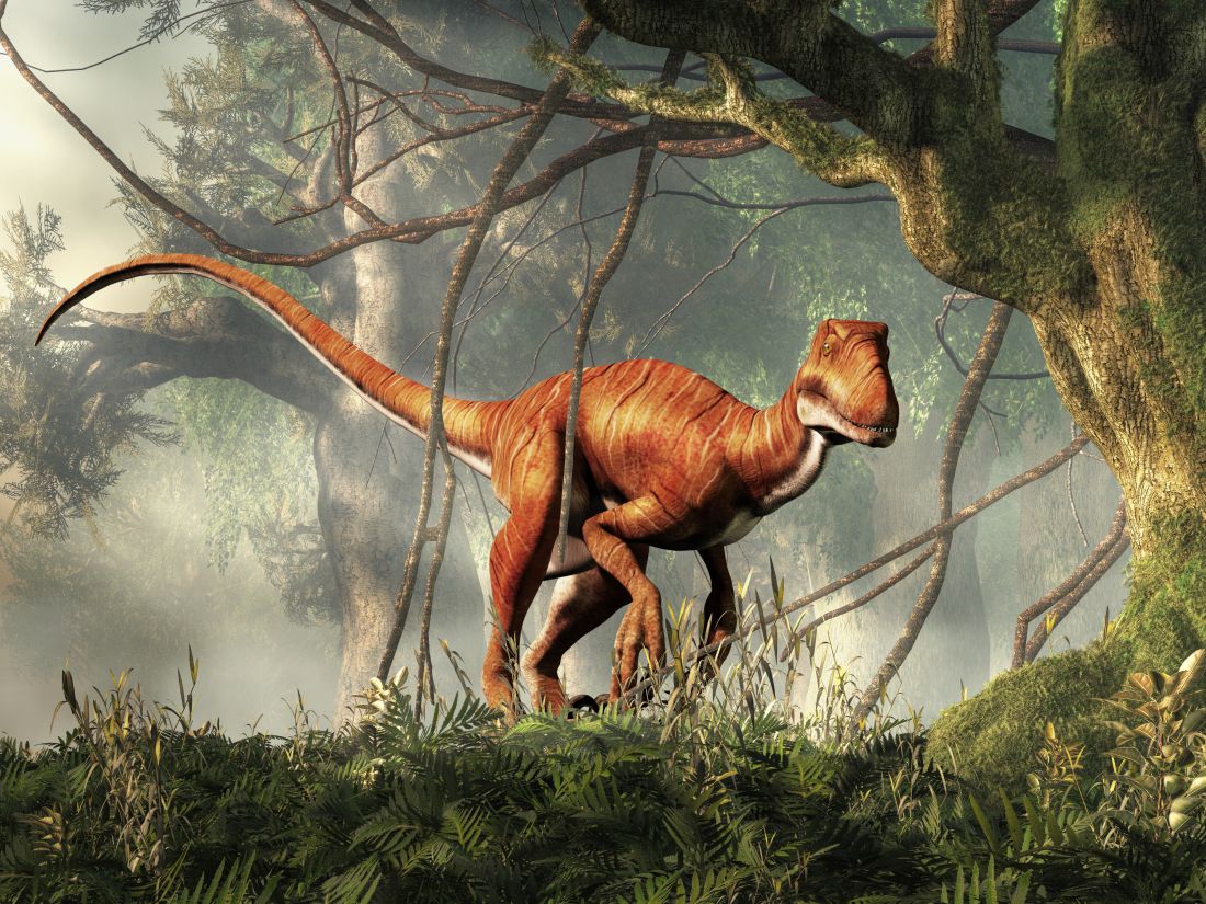 Neopeřený masožravý dinosaurus Deinonychus kráčí hustým pravěkým lesem mezi stromy.