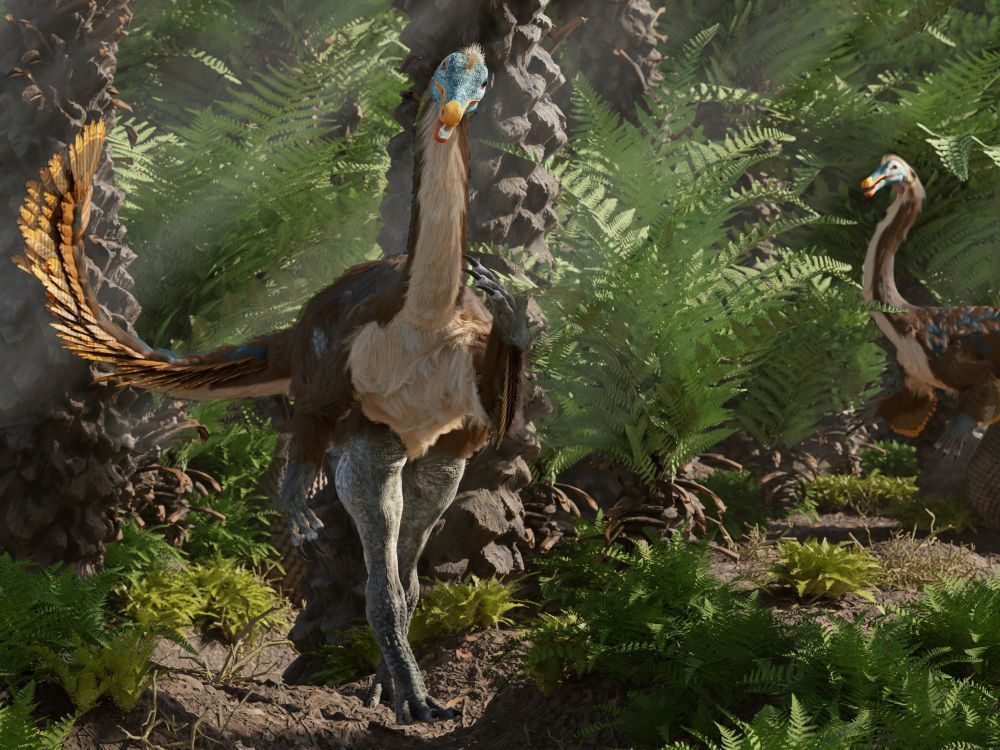 gallimimus-dinosaurus