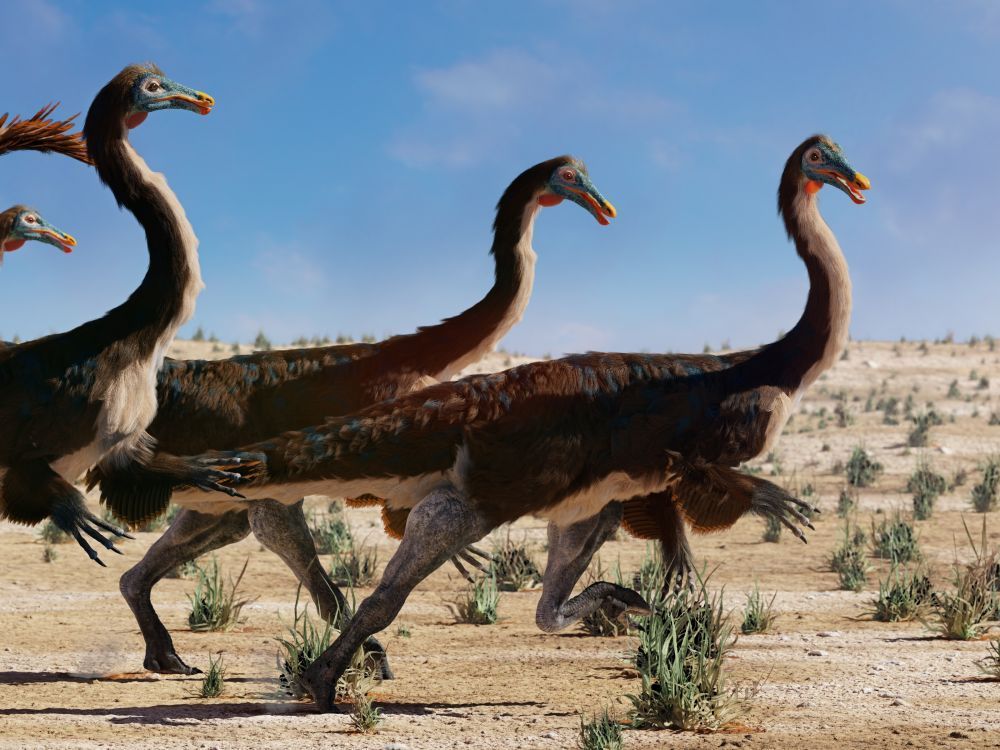 gallimimus-nejrychlejsi-dinosaurus