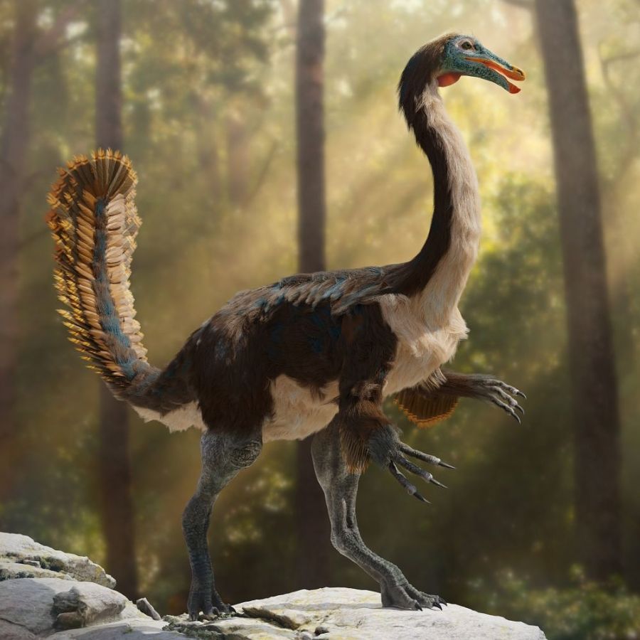 gallimimus-pstrosi-dinosaurus