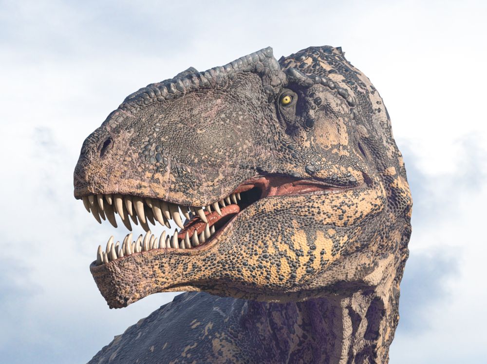 Giganotosaurus-hlava-zuby