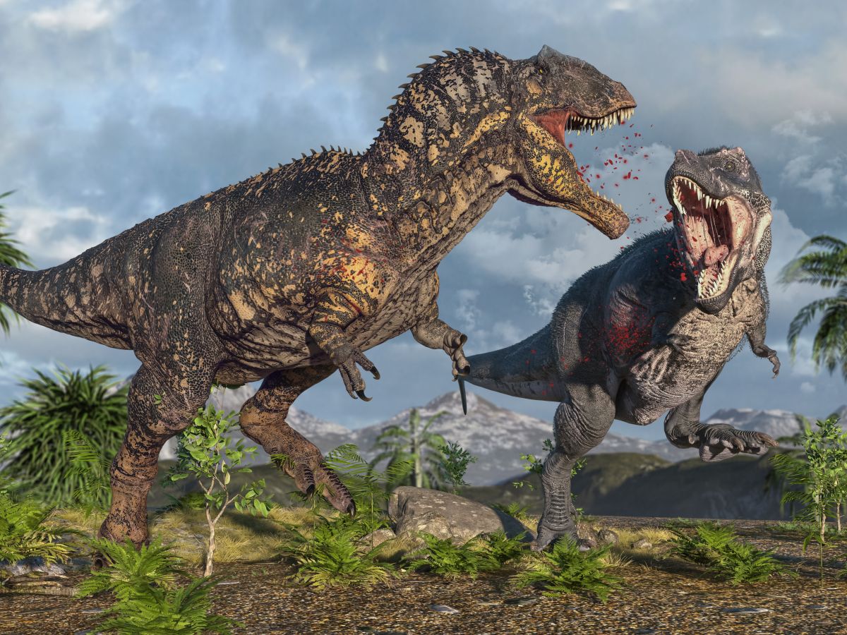 Krvavý střet obřích masožravých dinosaurů Giganotosaurus a Tyrannosaurus v boji o přežití.