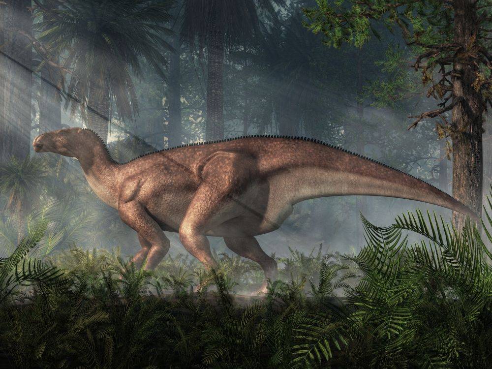 iguanodon-dinosaurus