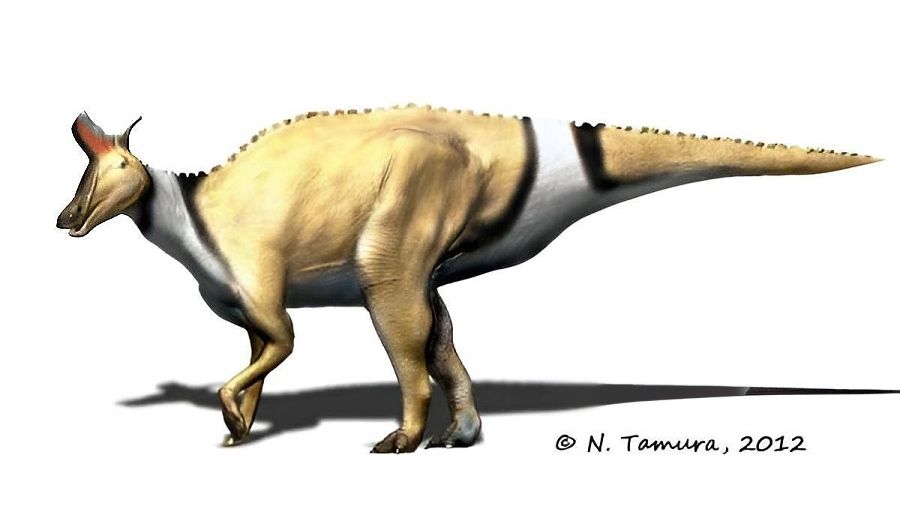 Lambeosaurus-lambei_NT
