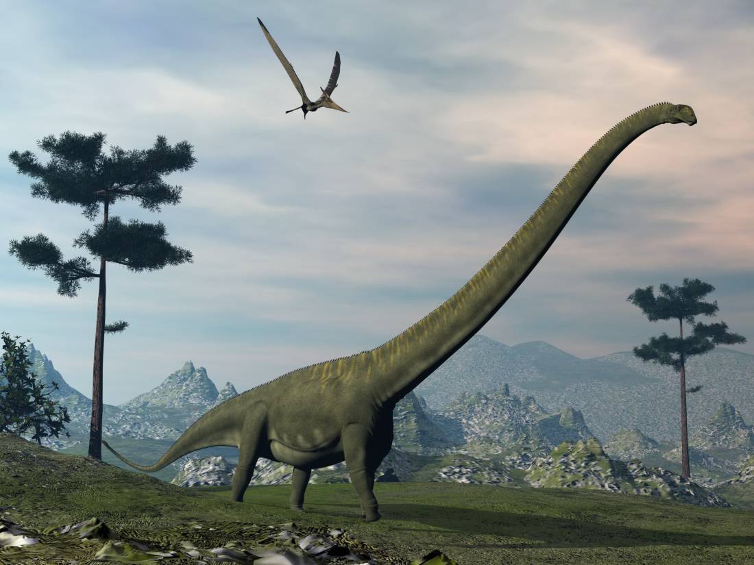Mamenchisaurus sauropod dinosaurus