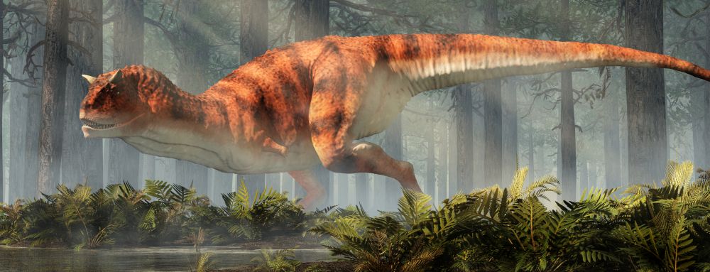 carnotaurus-masozravy-dinosaurus