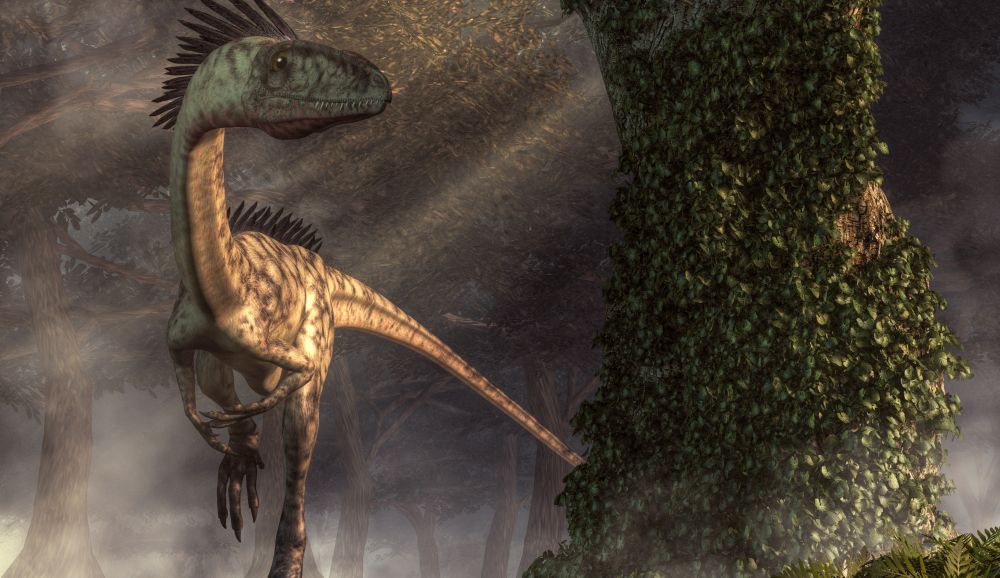 coelophysis-masozravy-dinosaurus