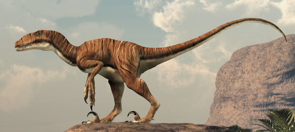 deinonychus-masozravy-dinosaurus