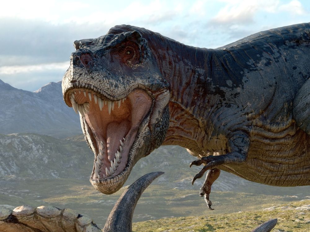 masozravi-dinosauri-seznam