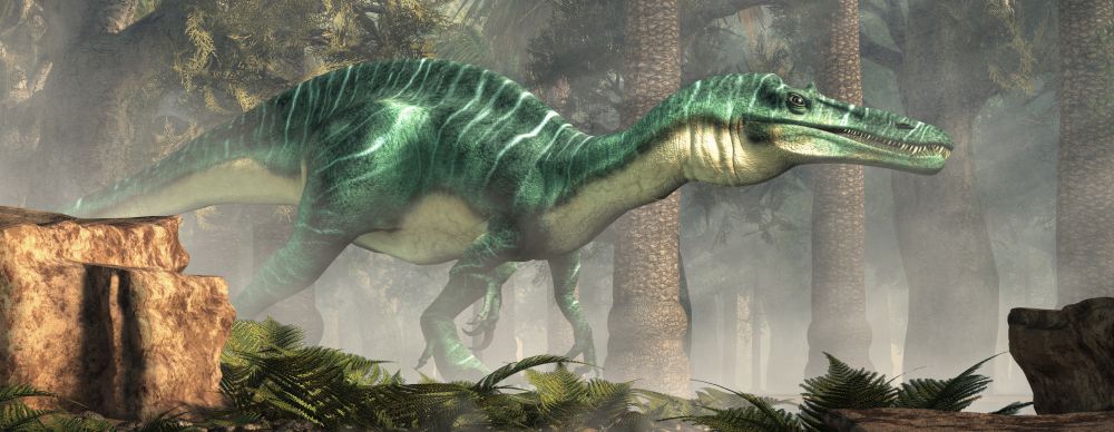 suchomimus-masozravy-dinosaurus