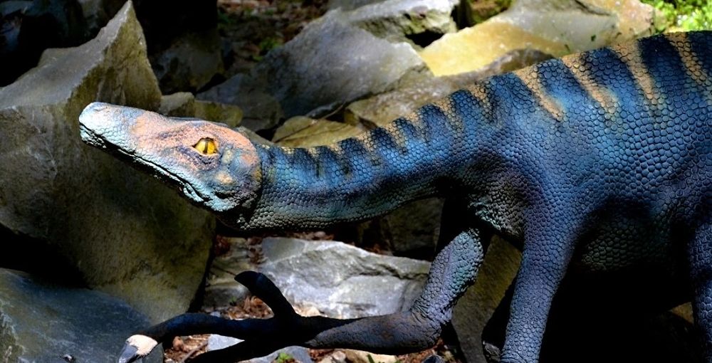 troodon-masozravy-dinosaurus