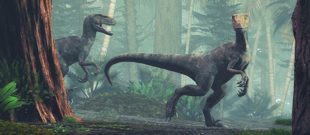 velociraptor--masozravy-dinosaurus