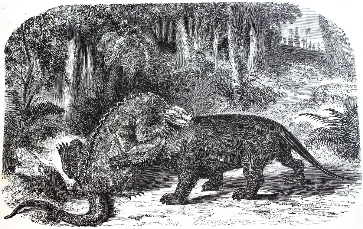 iguanodon-versus-megalosaurus