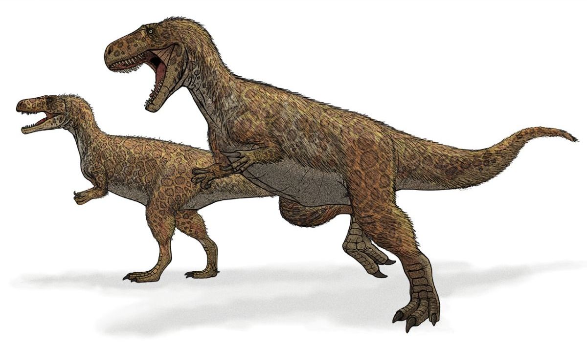 megalosaurus-dinosaur