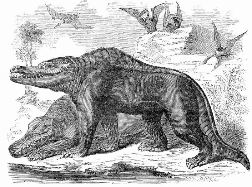 megalosaurus-ilustrace-stara