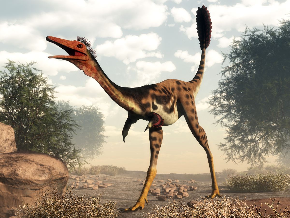 mononykus-atlas-dinosauru