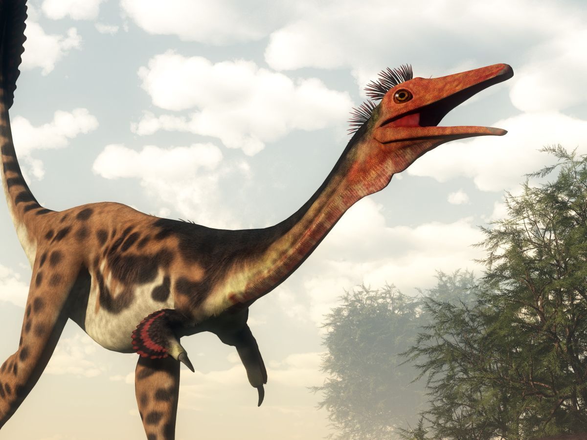 mononykus-dinosaurus-detail