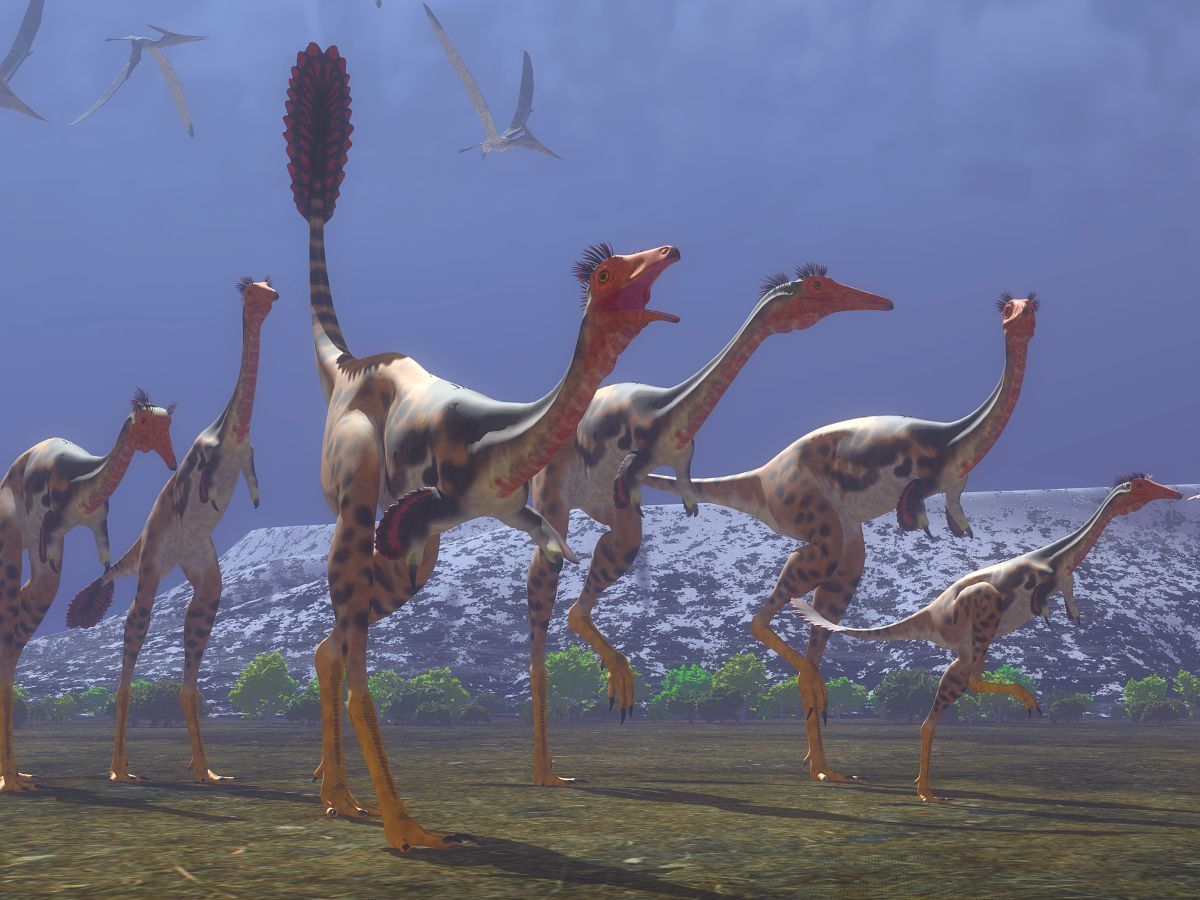 mononykus-skupina-dinosauru