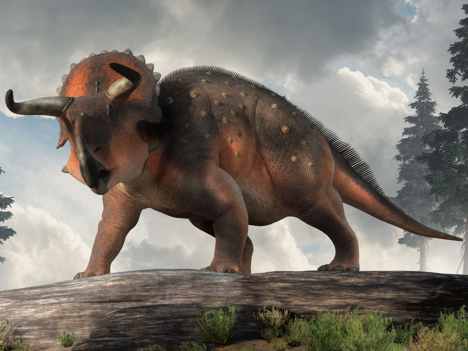 Nasutoceratops, rohatý dinosaurus ze svrchní křídy, stojí na skalnatém výběžku.
