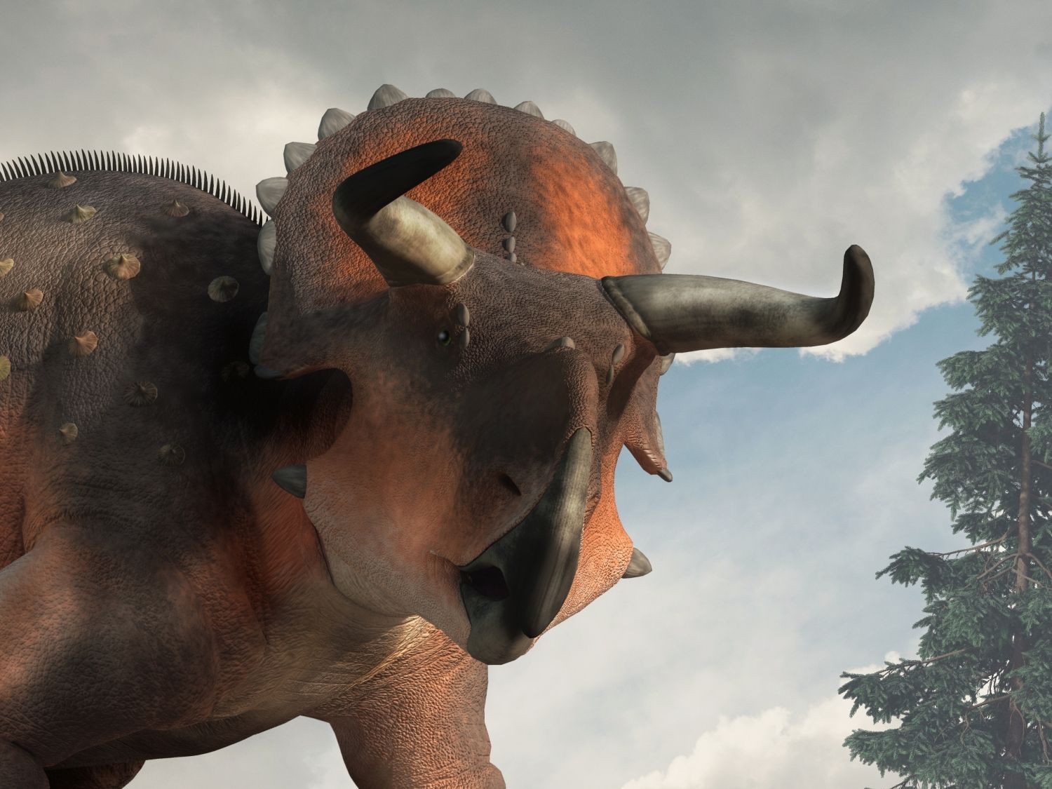 Rohatý dinosaurus Nasutoceratops v krajině křídy.