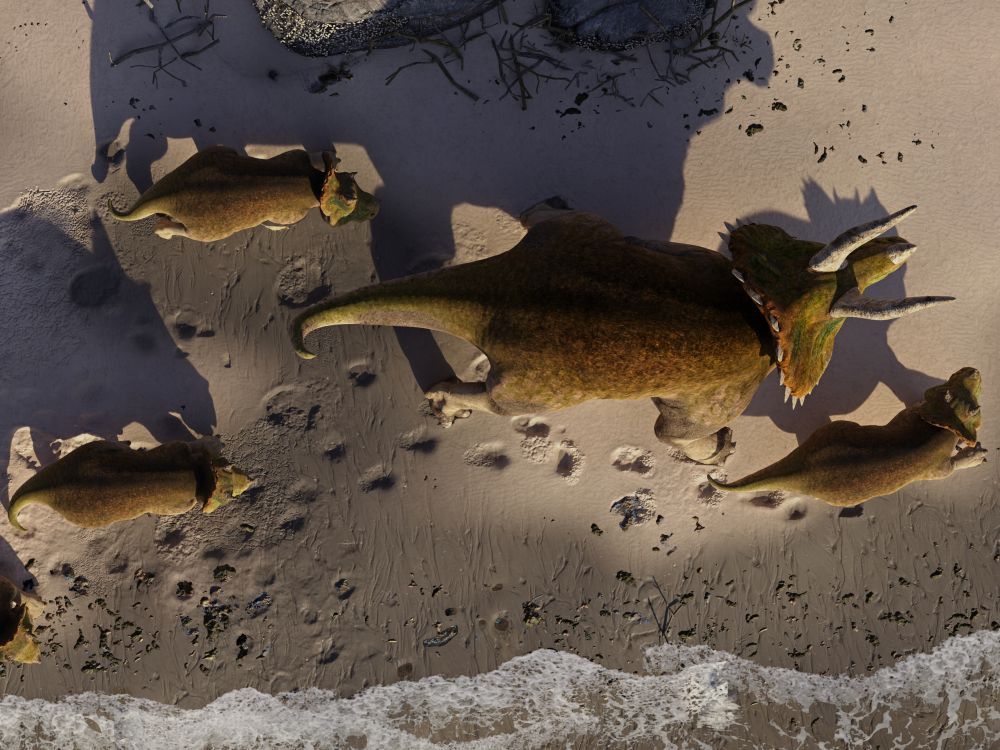 top-10-nejznamejsich-dinosauru-Triceratops