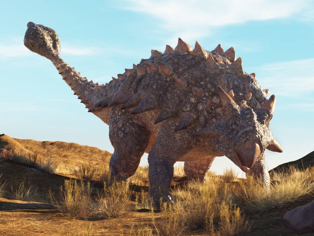 top-10-nejznamejsich-dinosauru-ankylosaurus