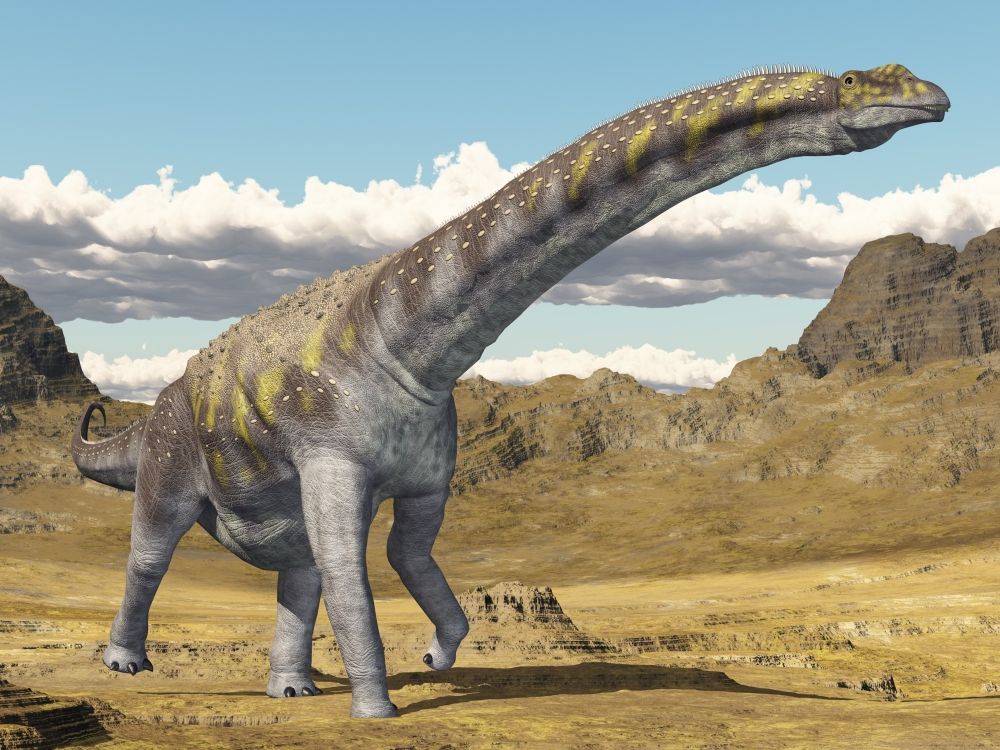 top-10-nejznamejsich-dinosauru-argentinosaurus
