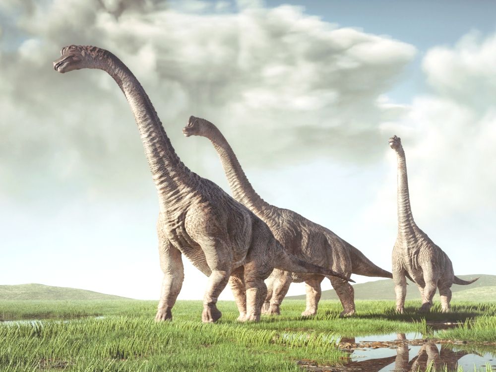 top-10-nejznamejsich-dinosauru-brachiosaurus