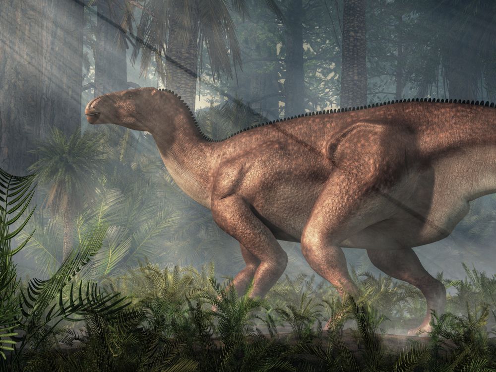 top-10-nejznamejsich-dinosauru-iguanodon